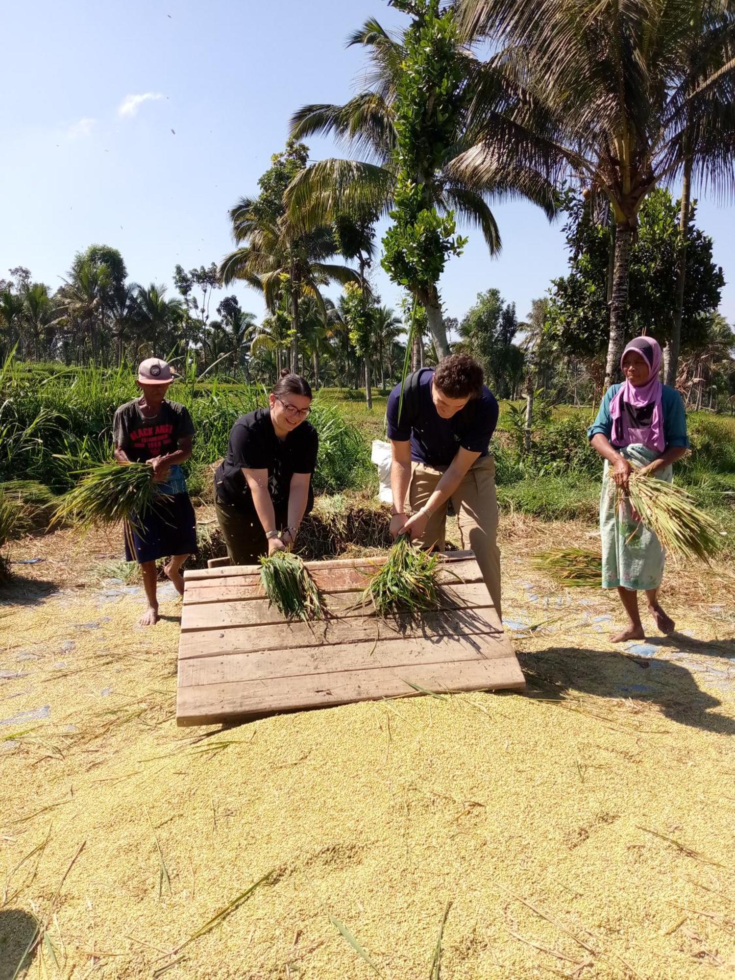 Syaqila Homestay Lombok Тетебату Экстерьер фото