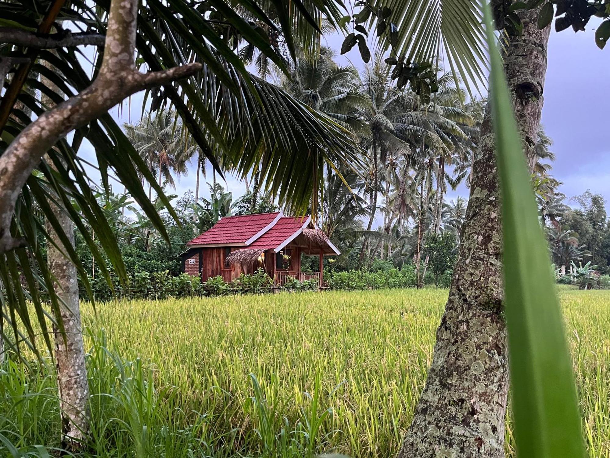 Syaqila Homestay Lombok Тетебату Экстерьер фото