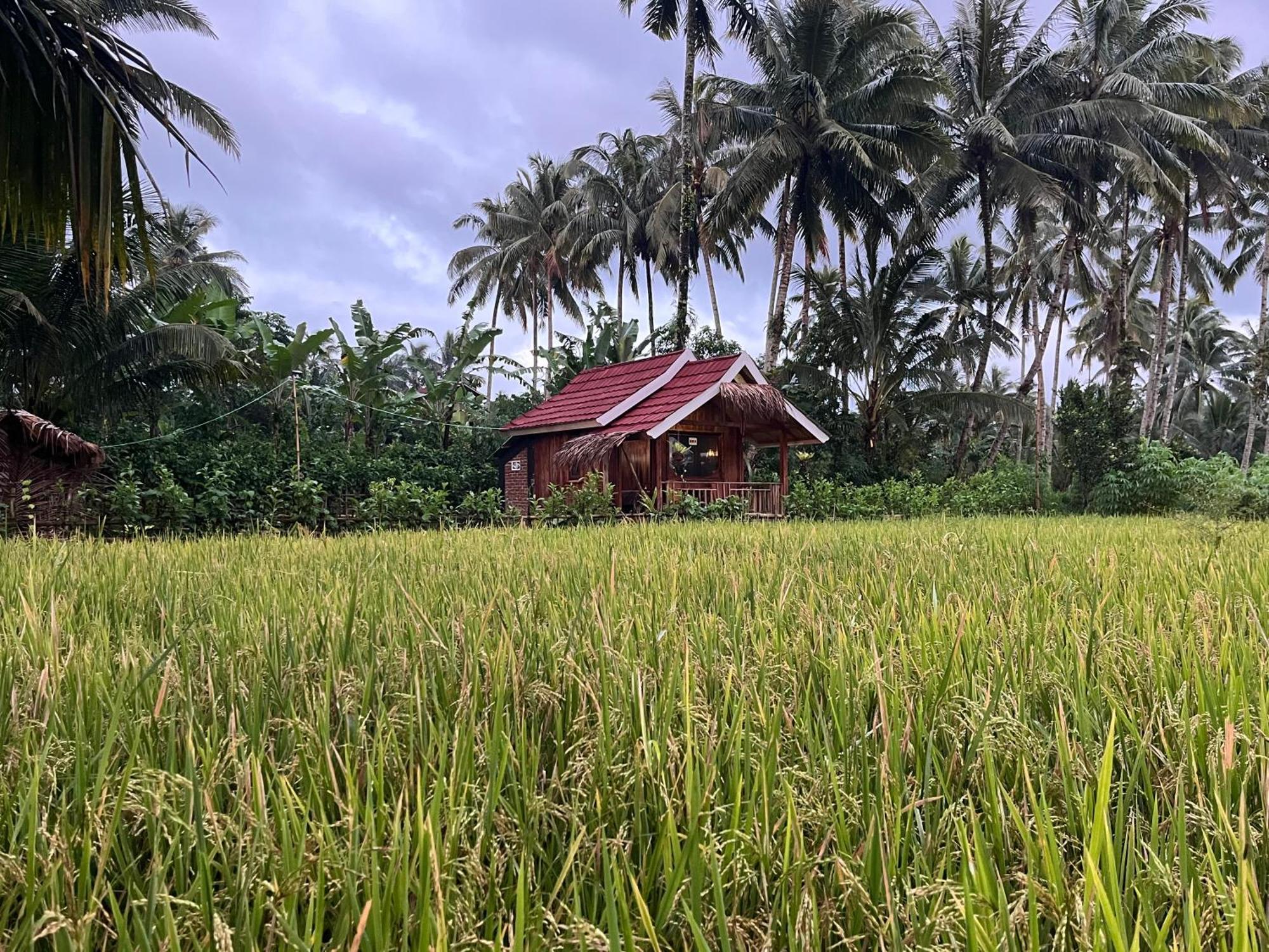 Syaqila Homestay Lombok Тетебату Экстерьер фото